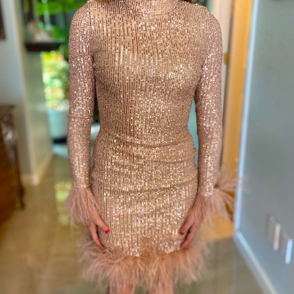 Sequence and ostrich feather long sleeve dress